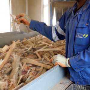 160-ecopole-bois-A-tri-manuel-long Tri manuel des derniers indésirables du produit