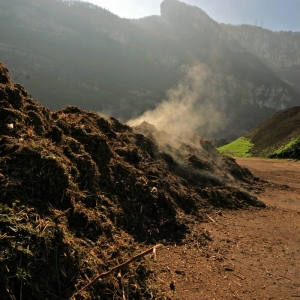 187-ecopole-compost-intro