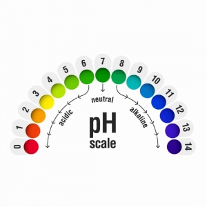 Collecte des acides et bases Collecte des acides et bases