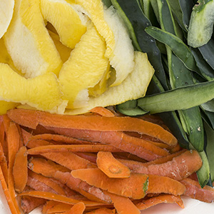 GD-biodechets-300x300